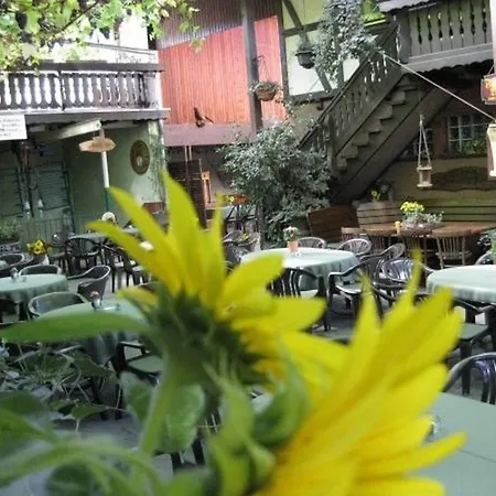 Weingut Franz Schaefer