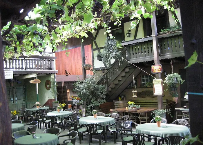 弗朗茨舍费尔酒庄旅馆 巴特诺因阿尔-阿尔韦勒