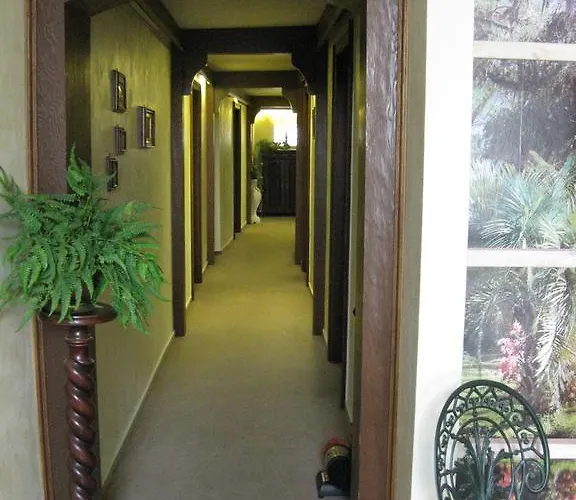 招待所 弗朗茨舍费尔酒庄旅馆 巴特诺因阿尔-阿尔韦勒