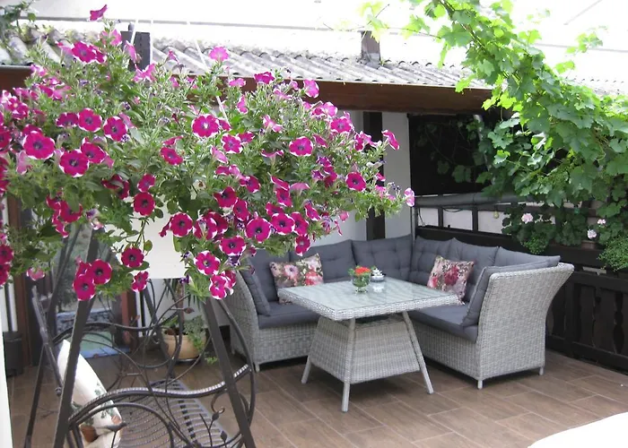 招待所 弗朗茨舍费尔酒庄旅馆 4*